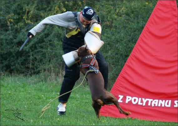 Summer training camp - Jelenec - 2007